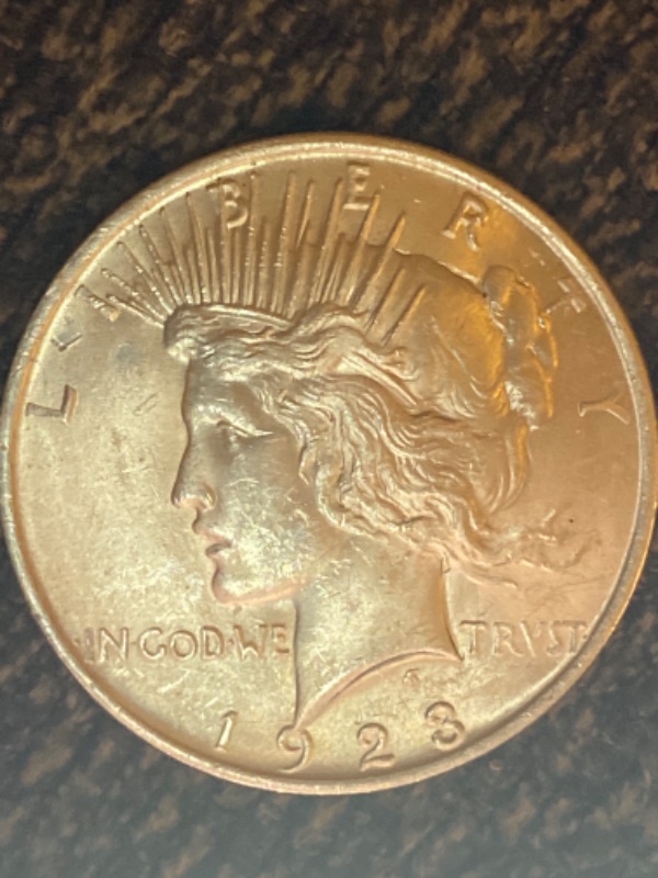 Help-Grading-This-1923-Peace-Dollar.